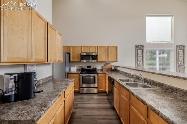 kitchen featuring appliances with stainless steel finishes, dark countertops, a sink, dark wood-style floors, and a high ceiling