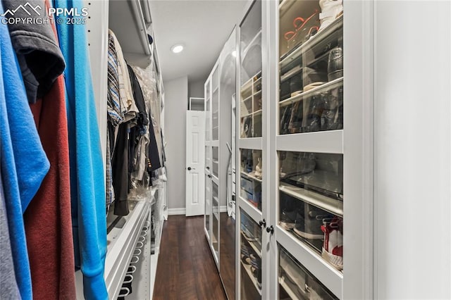 spacious closet with dark wood-type flooring