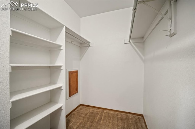 6277 Gunshot Pass Dr, Colorado Springs, CO 80917 - walk in closet featuring carpet flooring