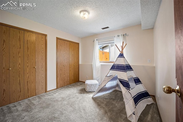 6277 Gunshot Pass Dr, Colorado Springs, CO 80917 - rec room with carpet flooring and a textured ceiling