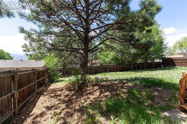 1950 Rusty Hinge Dr, Colorado Springs, CO 80920 - view of yard