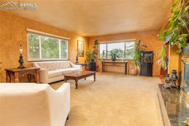 1522 Lehmberg Blvd, Colorado Springs, CO 80915 - living room featuring healthy amount of natural light