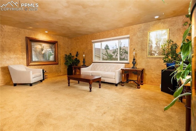 1522 Lehmberg Blvd, Colorado Springs, CO 80915 - living area featuring carpet flooring