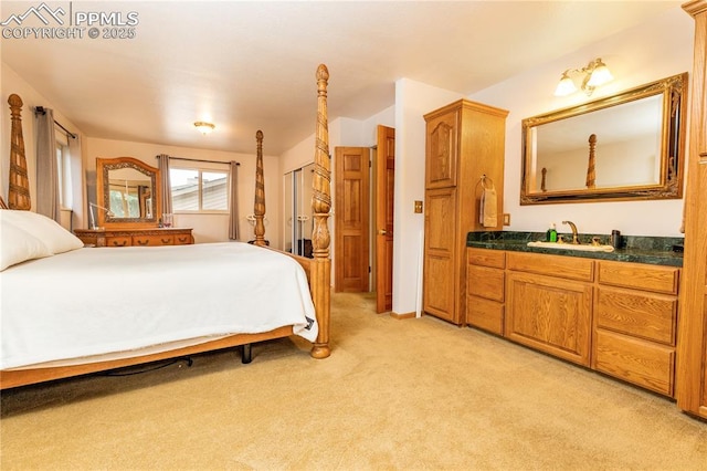 1522 Lehmberg Blvd, Colorado Springs, CO 80915 - bedroom with bar with sink and light colored carpet