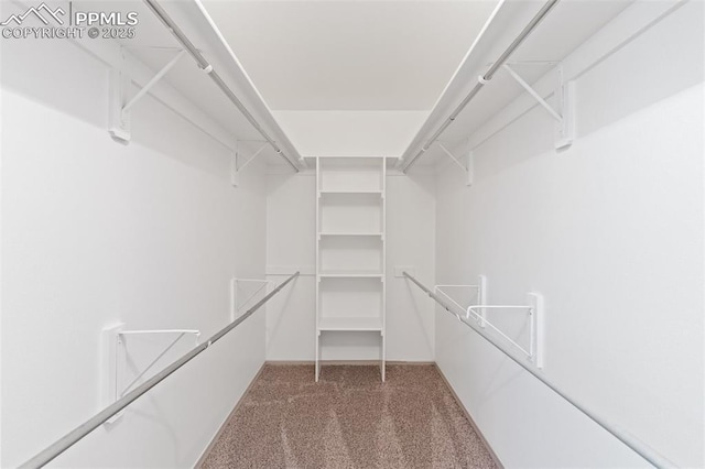 929 Bromefield Dr, Fountain, CO 80817 - spacious closet with carpet