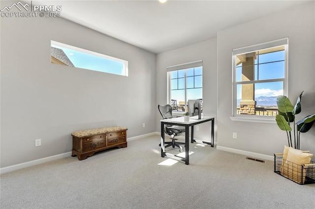 9484 Simper Hts, Colorado Springs, CO 80924 - carpeted home office with baseboards