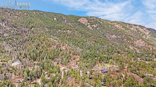 view of mountain feature featuring a view of trees