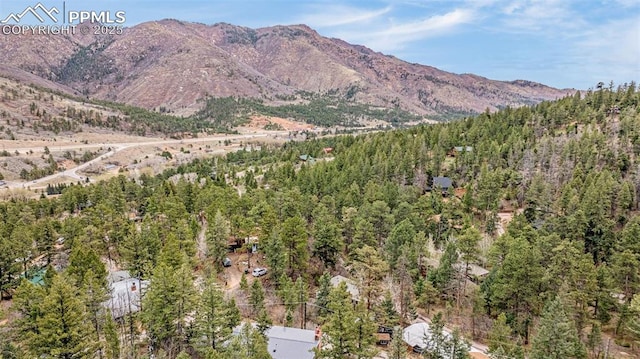 view of mountain feature featuring a forest view