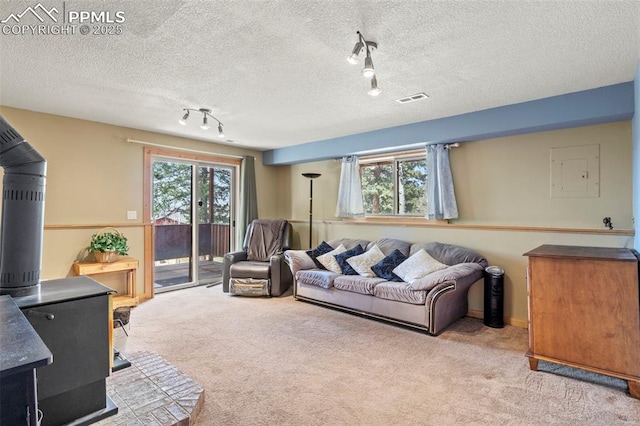 1200 Forest Edge Rd, Woodland Park, CO 80863 - living room with rail lighting, carpet, visible vents, and a wood stove