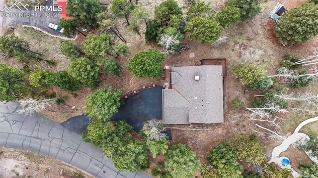1200 Forest Edge Rd, Woodland Park, CO 80863 - drone / aerial view