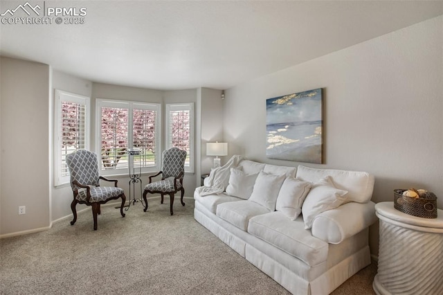 7820 Curlew Ct, Colorado Springs, CO 80920 - living room with baseboards and carpet flooring