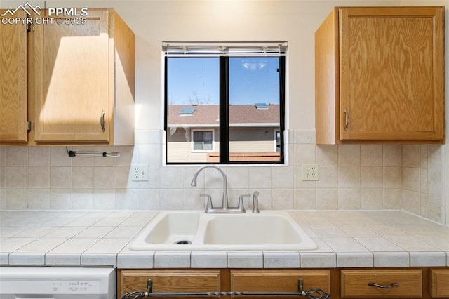 kitchen with tasteful backsplash, a sink, and dishwasher