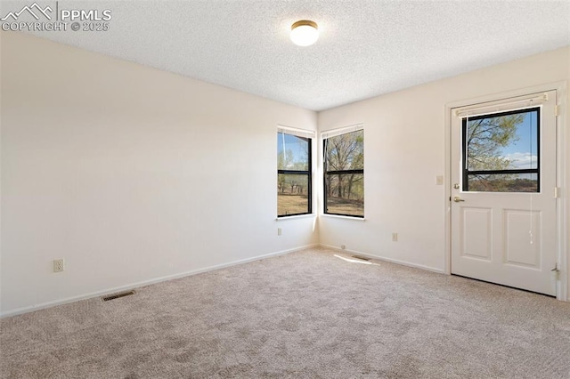 spare room with carpet flooring, a textured ceiling, and plenty of natural light