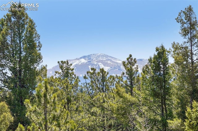 mountain view