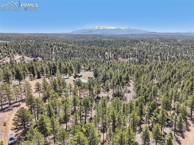 birds eye view of property with a forest view and a mountain view