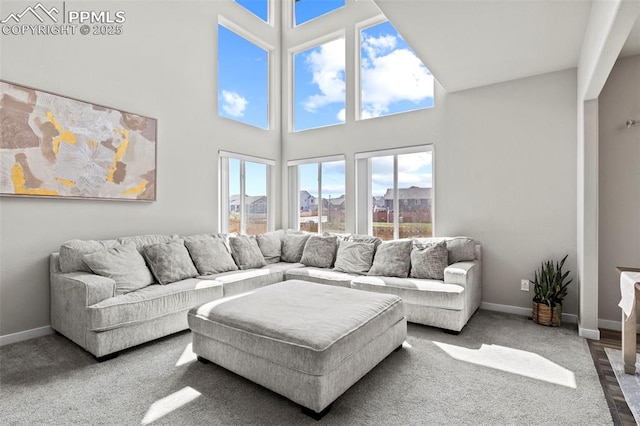 living area with carpet floors, baseboards, and a high ceiling