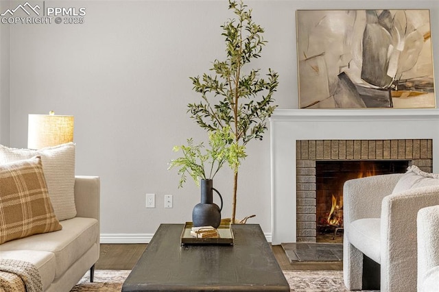 living room with baseboards, wood finished floors, and a fireplace