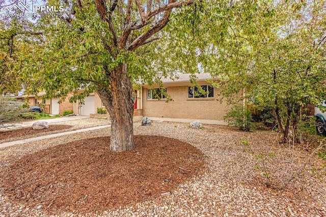 obstructed view of property with brick siding, driveway, and a garage