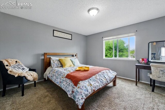 2032 Woodsong Way, Fountain, CO 80817 - carpeted bedroom featuring a textured ceiling and baseboards