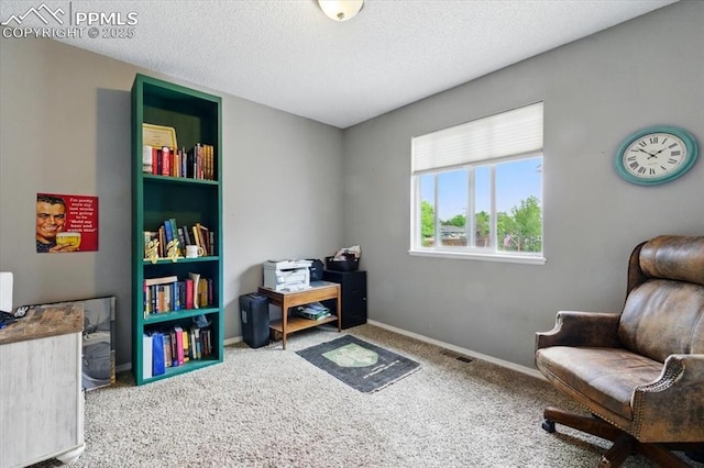 2032 Woodsong Way, Fountain, CO 80817 - home office featuring carpet floors, a textured ceiling, and baseboards