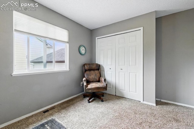 2032 Woodsong Way, Fountain, CO 80817 - sitting room with carpet, baseboards, and a textured ceiling