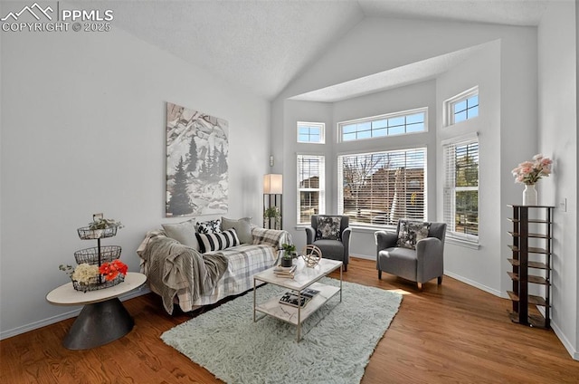 9025 Rochester Dr, Colorado Springs, CO 80920 - living area featuring lofted ceiling, wood finished floors, and baseboards