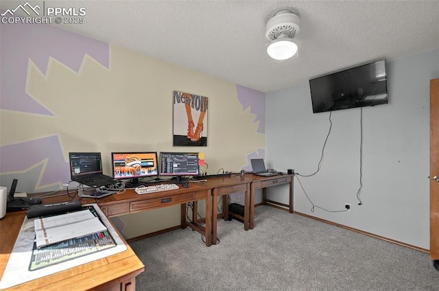 9025 Rochester Dr, Colorado Springs, CO 80920 - home office with carpet, baseboards, and a textured ceiling