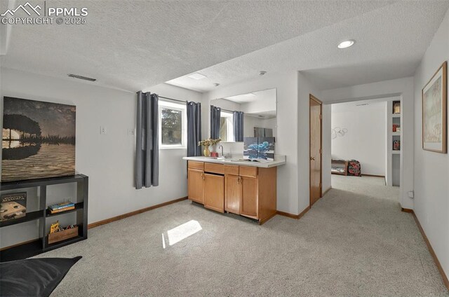 9025 Rochester Dr, Colorado Springs, CO 80920 - kitchen with light carpet, a textured ceiling, light countertops, baseboards, and a sink