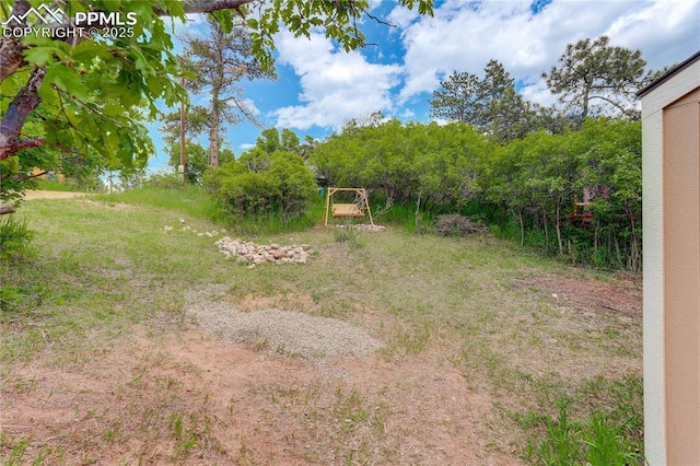 455 Clio Ave, Palmer Lake, CO 80133 - view of yard