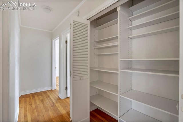 view of closet