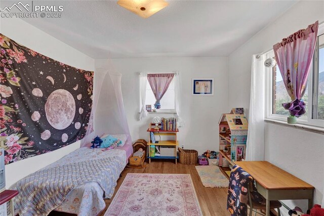 bedroom featuring wood finished floors