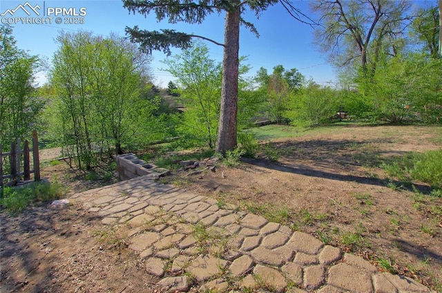 1227 Holmes Dr, Colorado Springs, CO 80909 - view of yard