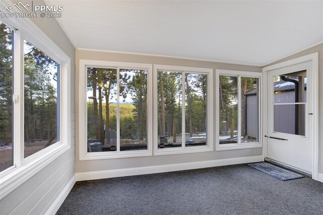 869 Kiowa Rd, Florissant, CO 80816 - unfurnished sunroom with carpet and baseboards