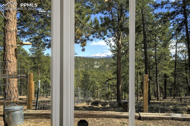 869 Kiowa Rd, Florissant, CO 80816 - view of mountain background featuring a heavily wooded area