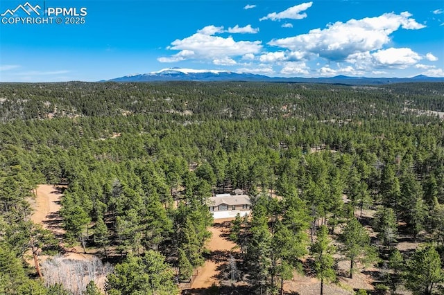 869 Kiowa Rd, Florissant, CO 80816 - aerial view of a forest and mountains