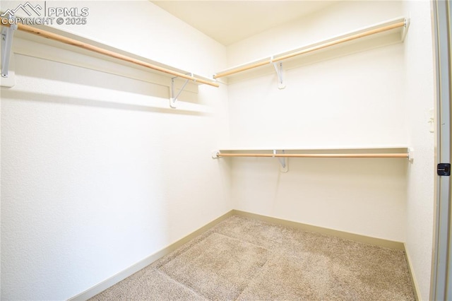 spacious closet featuring carpet