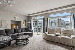 living room with carpet floors