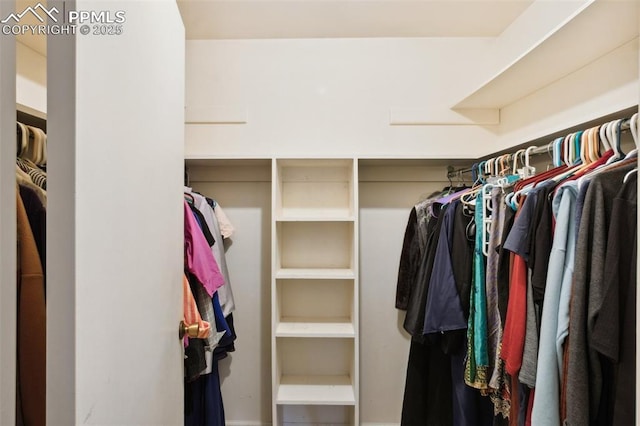 6820 Dauntless Ct, Colorado Springs, CO 80919 - view of walk in closet