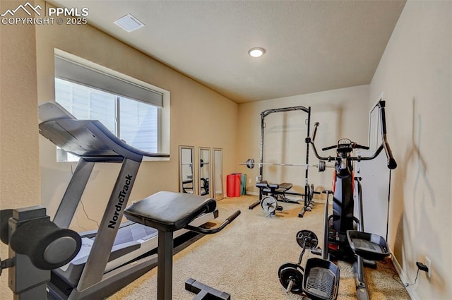 workout area featuring carpet floors, baseboards, and visible vents
