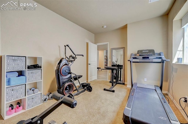 workout room featuring baseboards and carpet flooring