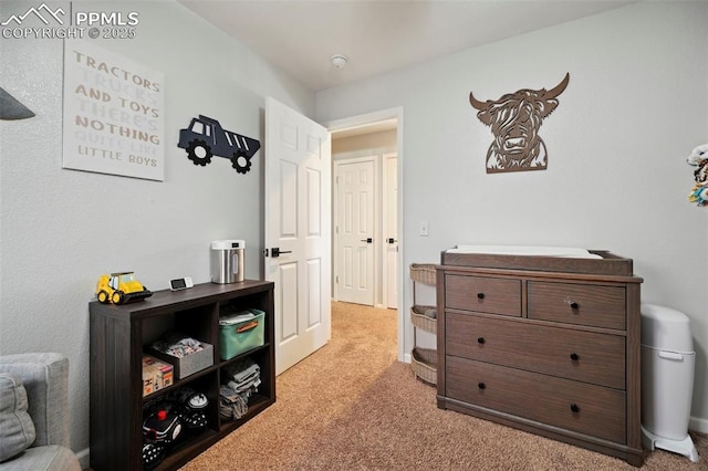 interior space with light carpet