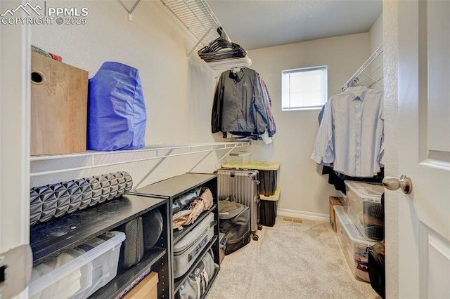 spacious closet featuring carpet flooring