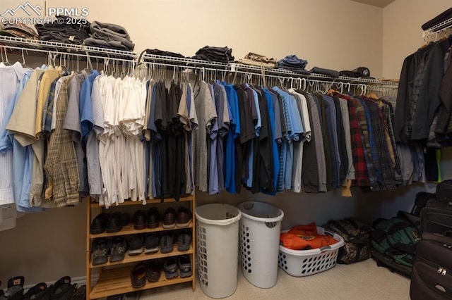 1849 Mud Hen Dr, Colorado Springs, CO 80921 - view of spacious closet