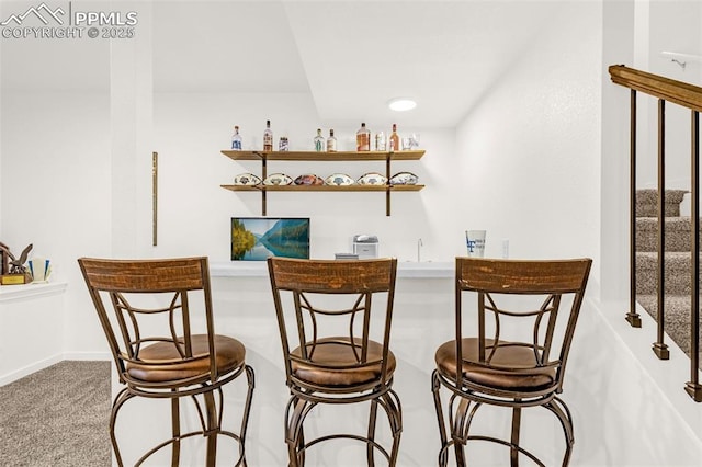 bar with carpet and wet bar
