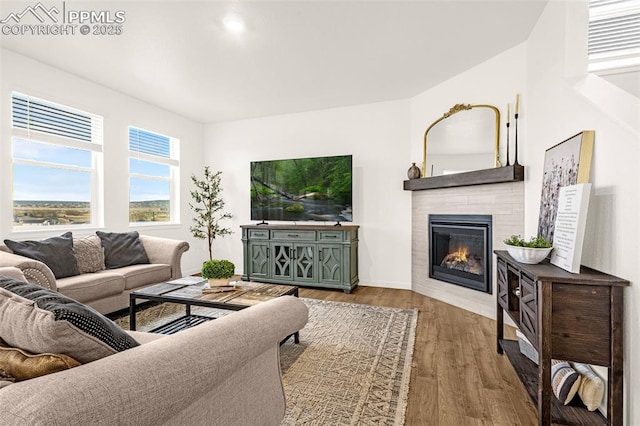 living room with wood finished floors and a fireplace