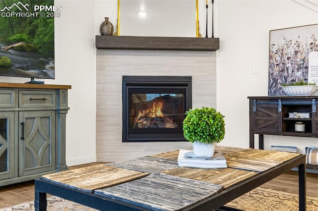room details featuring a tiled fireplace and wood finished floors