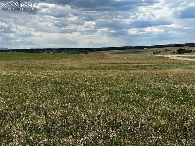 16990 Early Light Dr, Colorado Springs, CO 80908 - view of local wilderness featuring a rural view