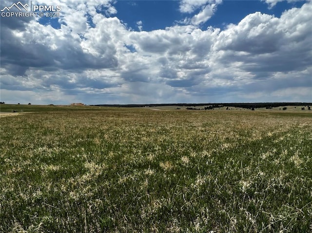 11970 Woodridge Ter, Colorado Springs, CO 80908 - view of local wilderness featuring a rural view