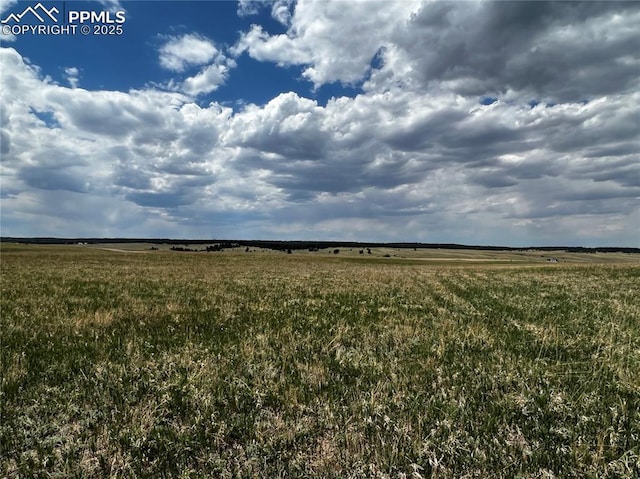 11970 Woodridge Ter, Colorado Springs, CO 80908 - view of local wilderness with a rural view
