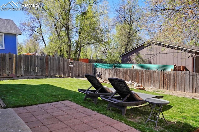 view of yard with a patio and a fenced backyard